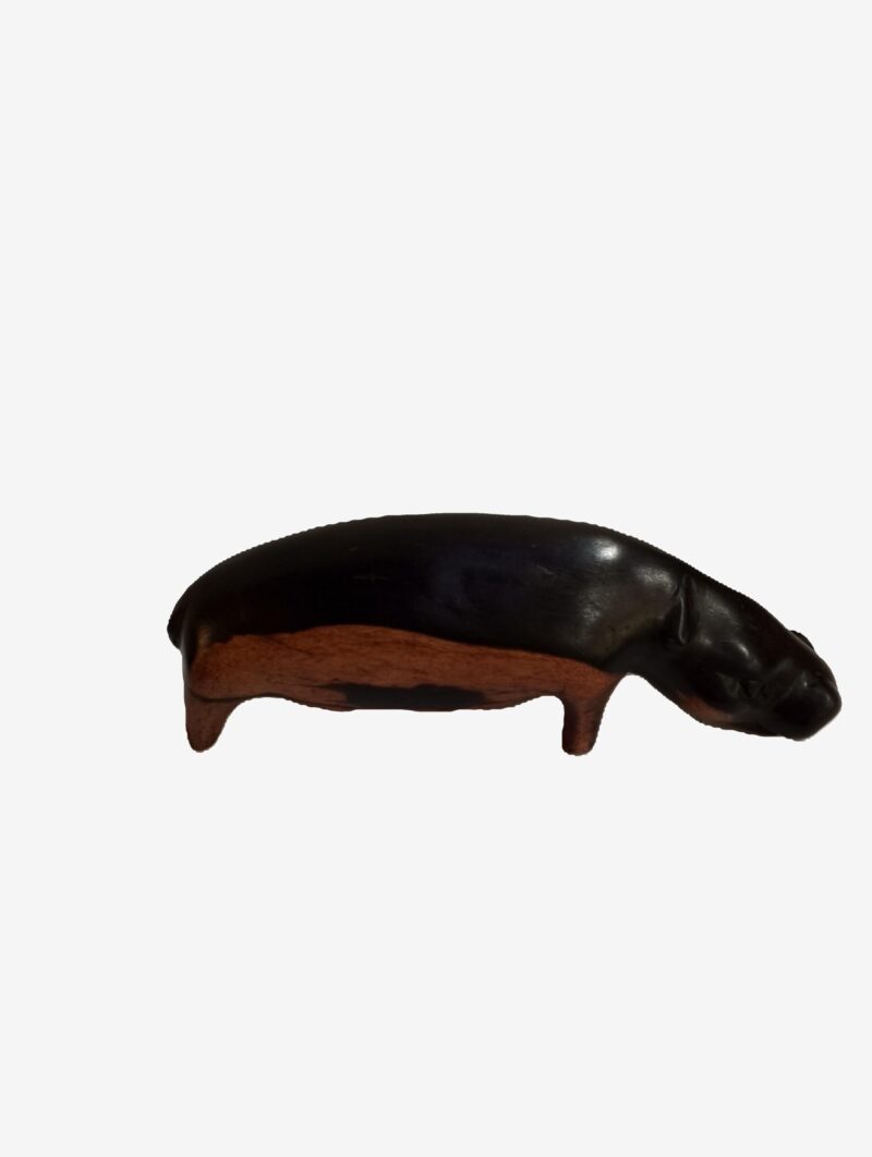 Baby Hippo