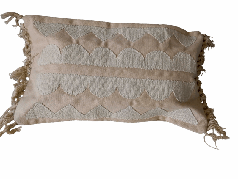 Cushion in Beige Design