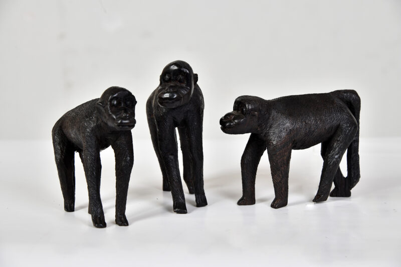Monkey Troupe - Image 2