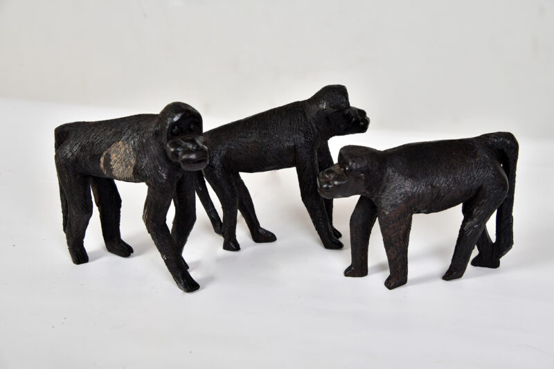 Monkey Troupe