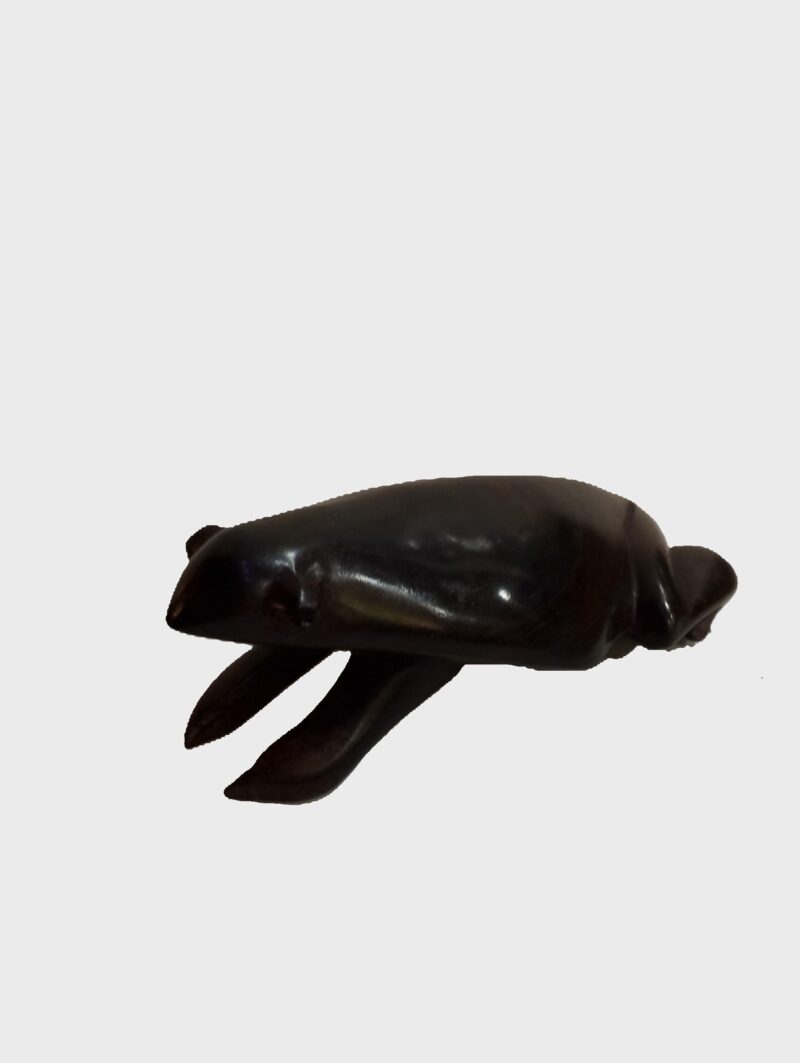 Crouching Frog in Hard Wood